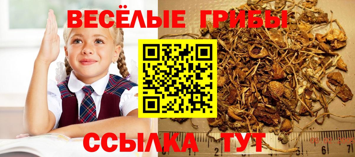 Галлюциногенные грибы Magic Shrooms  Вход с VPN  Лесосибирск 