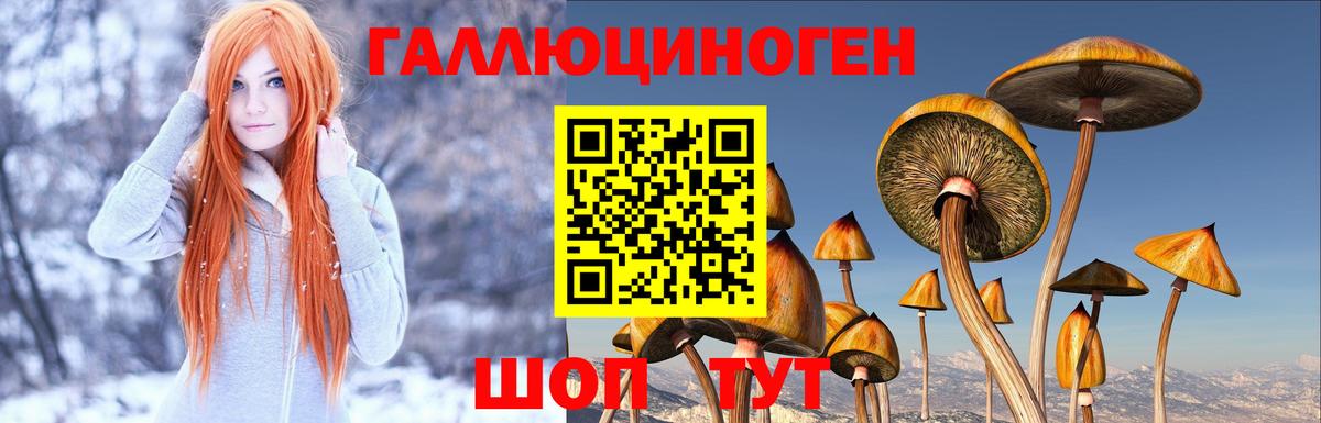 Псилоцибиновые грибы GOLDEN TEACHER Лесосибирск